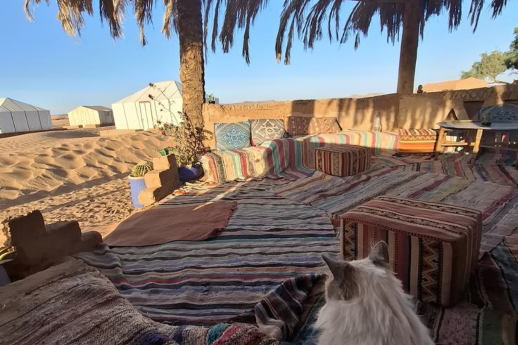 Erg Chigaga Travel Guide 2026: Amazing Luxury Camps & 4x4 Desert Tours