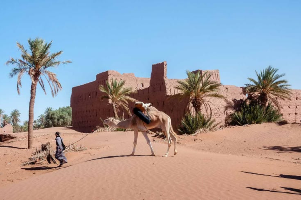 Foum Zguid Travel Guide 2026: Amazing Desert Tours, 4x4 Adventures & Sahara Gateway
