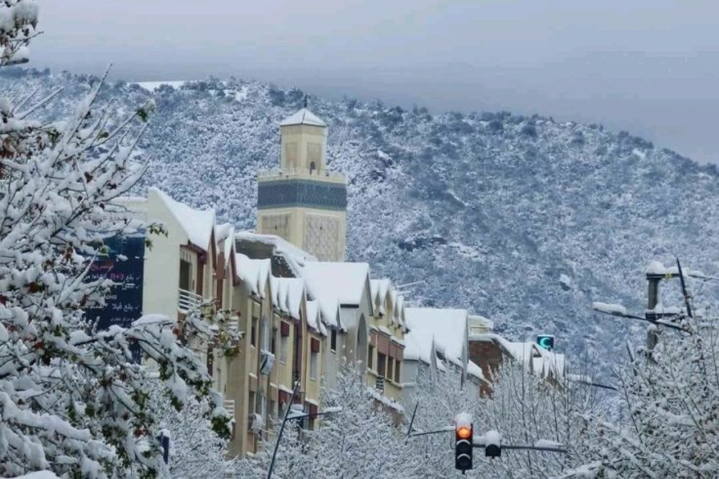 Azrou Travel Guide 2026: Amazing Nature & Middle Atlas Mountains