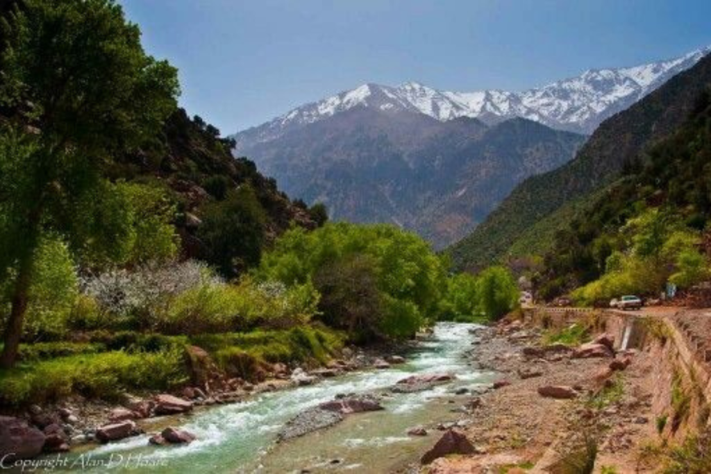 7 Breathtaking Ourika Valley Escapes: The Ultimate Travel Guide