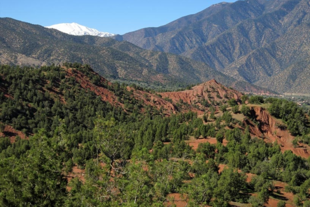 Ouirgane Travel Guide | 7 Best Things to Do in This Atlas Retreat