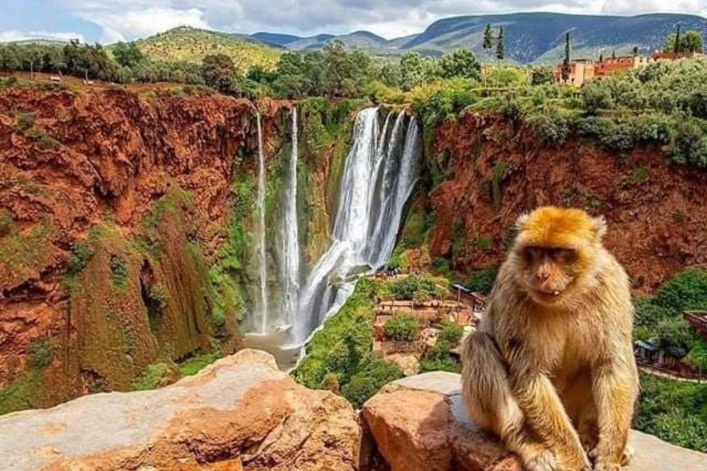Bin El Ouidane Travel Guide