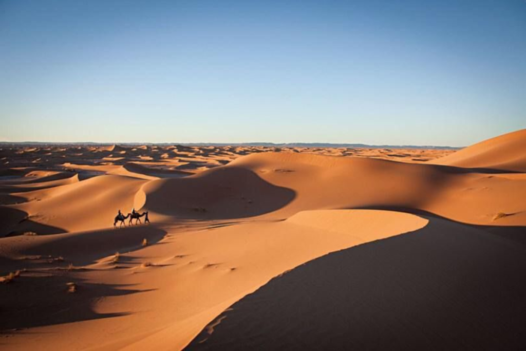 M’Hamid El Ghizlane Travel Guide