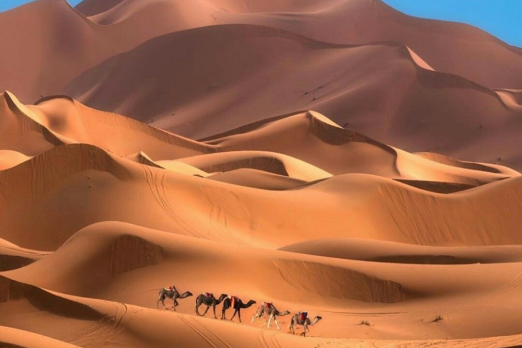Tangier Travel Guide 2026