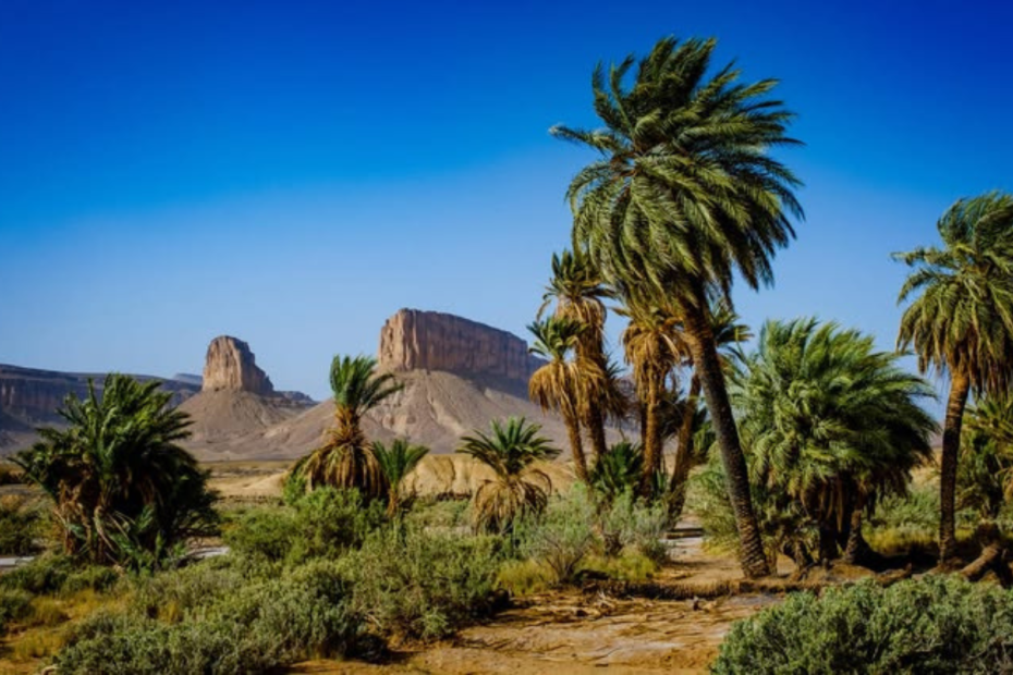 Foum Zguid Travel Guide 2026: Amazing Desert Tours, 4x4 Adventures & Sahara Gateway