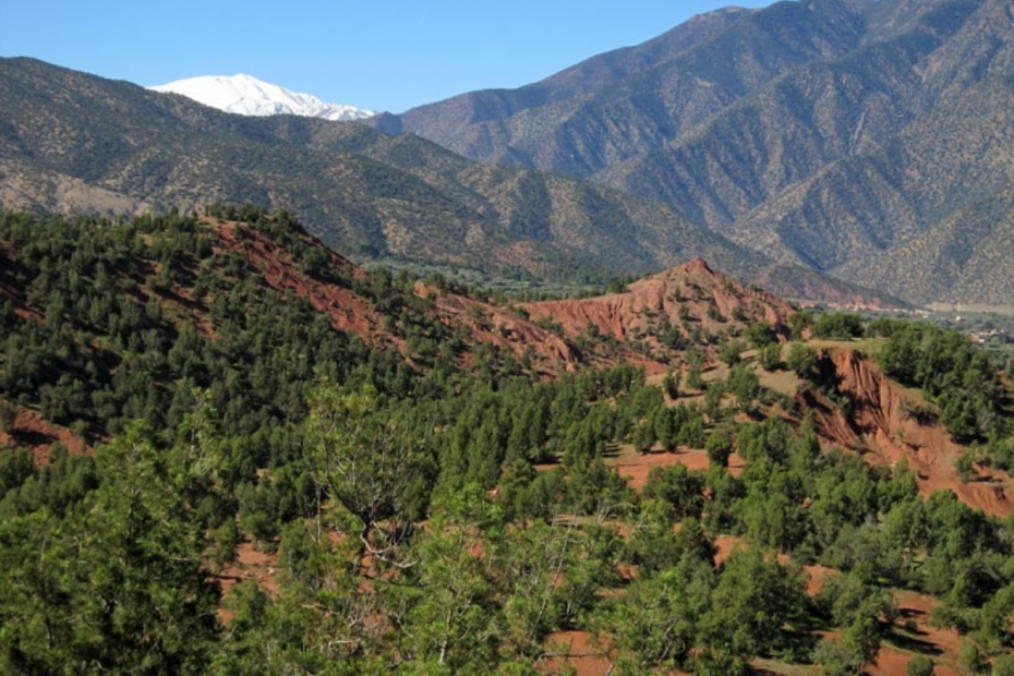 Ouirgane Travel Guide: 8 Amazing Reasons to Visit Morocco's Hidden Gem