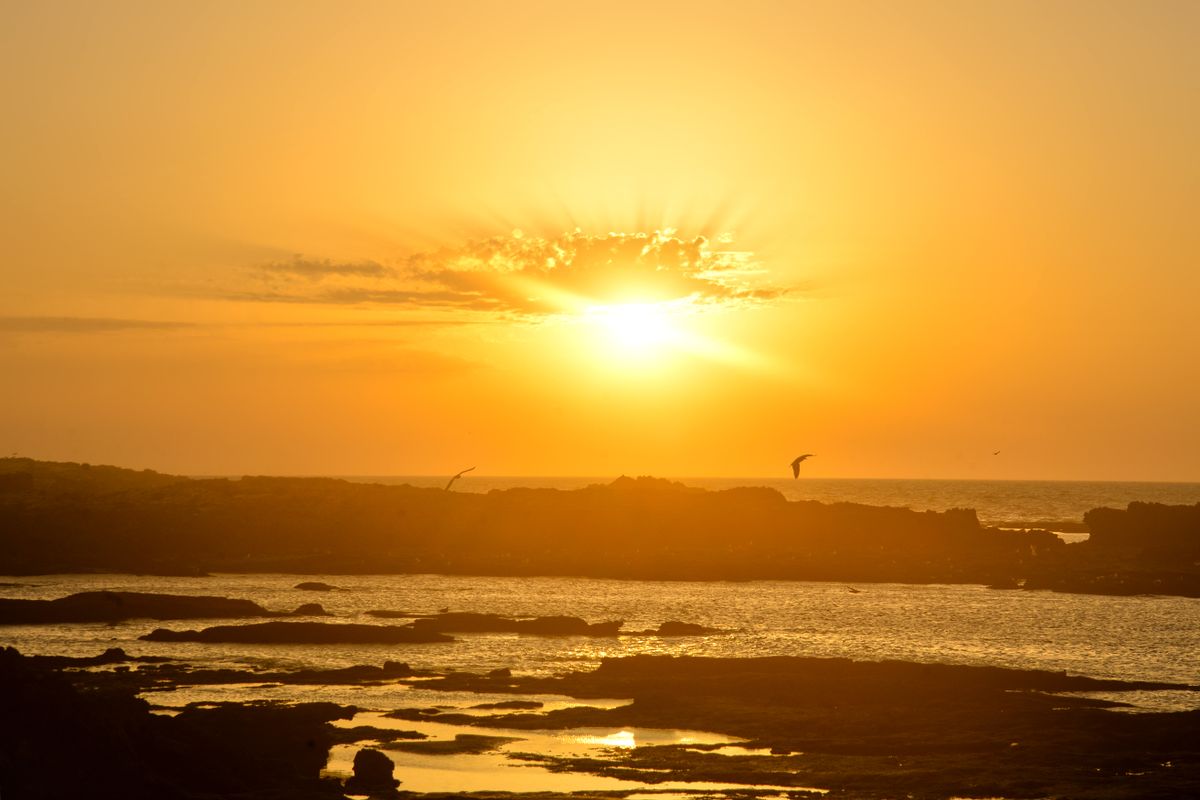 Golden sunset over the Atlantic Ocean and coastline at Asilah, Morocco, with seagulls in the sky