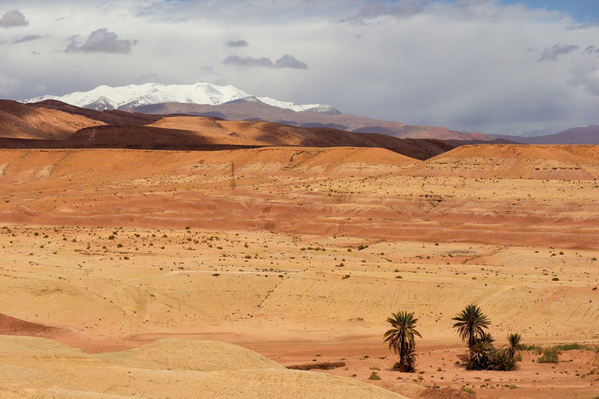 Palm grove and desert landscape with the Atlas mountains in southern Morocco