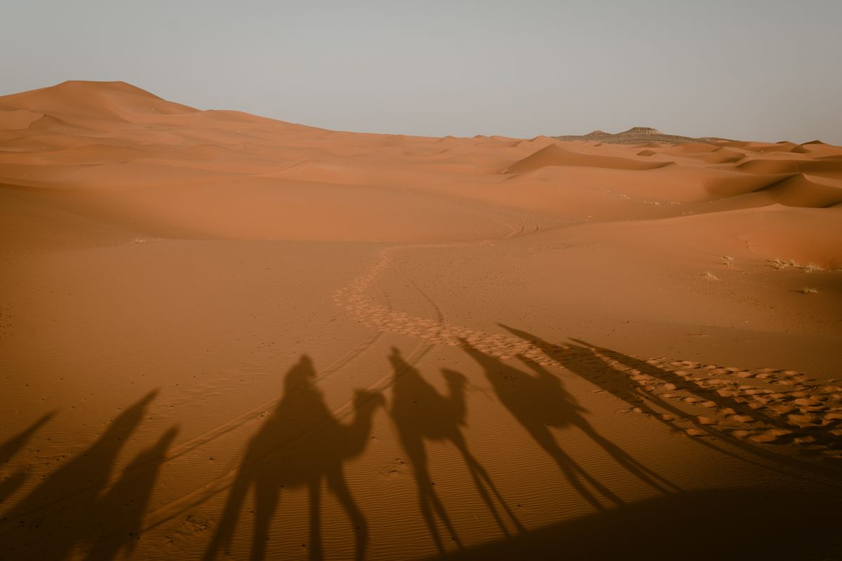 Shadows of camels and riders on the sand dunes of Merzouga in the Moroccan Sahara