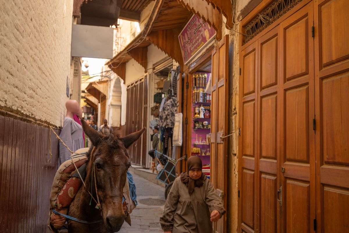 A woman and a mule carrying goods through a busy alley in the Fez medina, Morocco