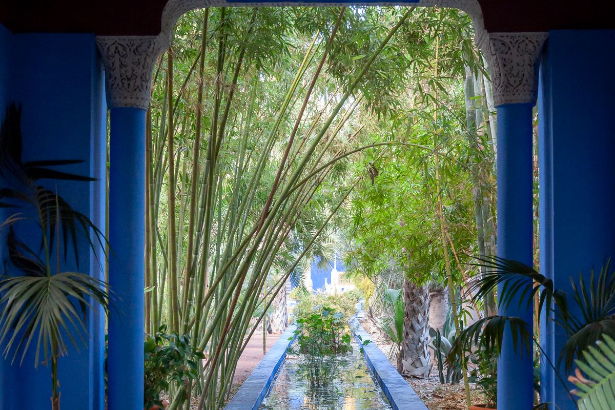 Garden walkway with bright blue columns and plants in Jardin Majorelle, Marrakech, Morocco