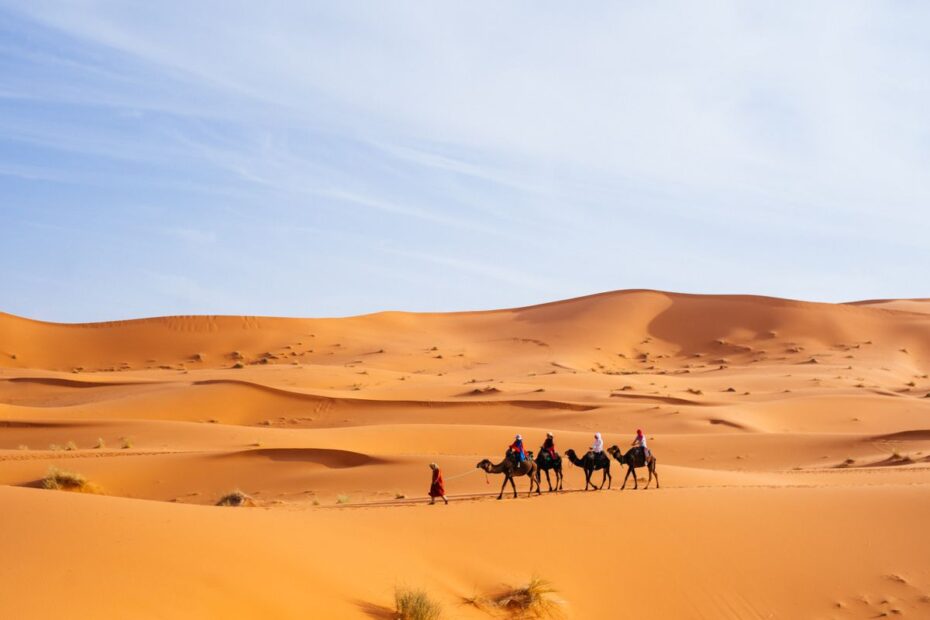Travellers riding camels across the Sahara dunes near Merzouga, Morocco